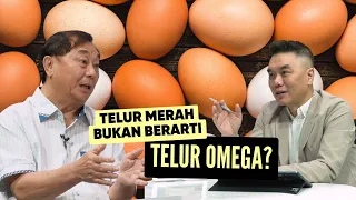 Jangan Digoreng! Profesor Telur Ini Bagikan Cara Masak Telur yang Benar
