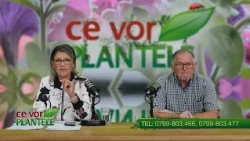 Why do fruit tree trunks crack? Cristina and Horia Ghibu