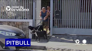 Experts provide guidance on preventing dog attacks. 10-year-old child attacked.