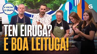 Ten EIRUGA? É boa LEITUGA! | A VOLTAS CO PRATO