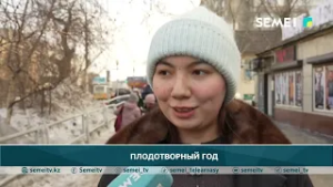 Плодотворный год