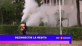 Dezinsecție la Reșița