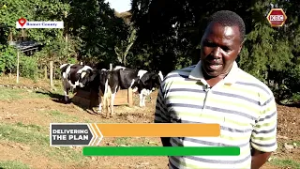 Delivering the PLAN I National Livestock Vaccination Campaign