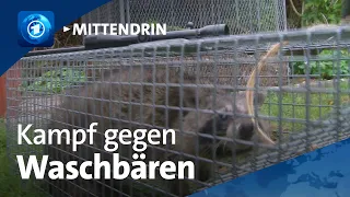 Lübeck: Unterwegs mit dem Stadtjäger | tagesthemen mittendrin