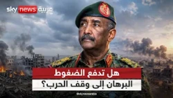هل تدفع الضغوط الدولية البرهان إلى هدنة في السودان؟ | #التاسعة