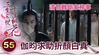 護妹狂魔～青丘唯一的女君哪那麼好追 親哥下場吐槽：她脾氣硬得很【三生三世十里桃花】精華 EP55-7 楊冪、趙又廷、迪麗熱巴、高偉光、張智堯 @ctvdrama_classic