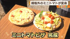 【SDGsウィーク】規格外のミニトマトが変身！食品ロスへの取り組み News+おやっと！特集(2月26日(木)放送)