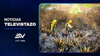 🚨Forest fire in Calacalí is under control and enters the extinguishing phase | Televistazo