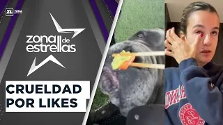 Josefa Sáez fed WASABI TO HER PET
