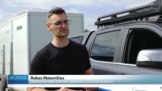 “Pirmais rēciens izgāja cauri ķermenim” – Siguldā ieradušies divi Amūras tīģeri