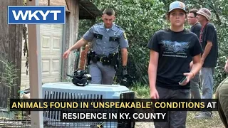 Animals found in ‘unspeakable’ conditions at residence in Ky. County