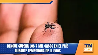Dengue cases top 7,000 in the country during rainy season