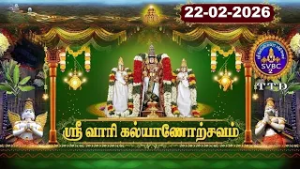 Srivari Kalyanotsavam || Tirumala || SVBC2 Tamil || 22-02-2026 || SVBC TTD