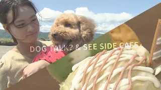【犬連れカフェ小樽】海が見える新名所！愛犬と楽しむ限定グルメ