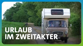 Bernd aus Calbe hat ein seltenes Barkas-Exemplar | MDR um 4 | MDR