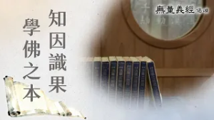 【無量義經偈頌】 知因識果 學佛之本 - 第17集｜無量義經偈頌｜ 20260305