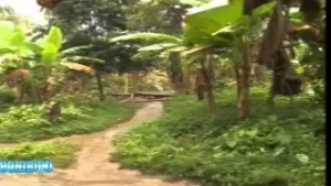 No More King 1 - Nigerian Nollywood Movie