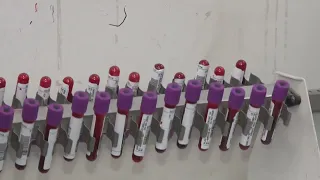 LABORATORY NETWORK ADVANCEMENTS