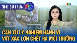 Phu Tho News Noon 10/14/2026 | Strict penalties needed for dumping dead pigs into the environment