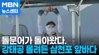 Octopus season opens in Samcheonpo: Anglers flock to the coast [MBN News Center]