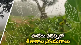 ఏజెన్సీలో శీతాకాల సోయగాలు.. పాడేరును కమ్మేస్తున్న పొగమంచు