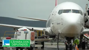 Aprovado uso de força policial para conter agressor de mulher em avião - 19/02/2026