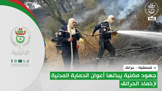 Constantine - Wildfires | Strenuous Efforts by Civil Protection Agents to Extinguish the Fires