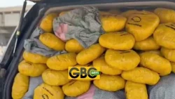 Customs Intercepts Over Half a Ton of Suspected Cannabis at Torve, Aflao#gbcnews