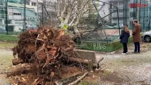 Pessoas ficam desalojadas e sem água e energia após tempestade devastadora em Coimbra