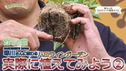 Lifestyle Culture Time: Gardening Introduction, Part 24