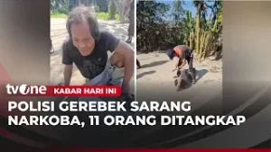 Gerebek Barak Sarang Narkoba, Polisi Cokok 11 Orang Pengguna | Kabar Hari Ini