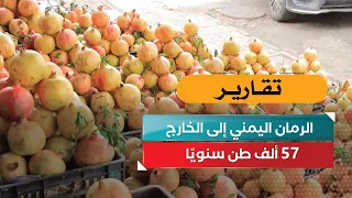الرمان اليمني إلى الخارج.. 57 ألف طن سنويًا