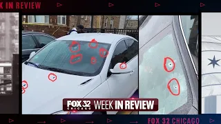 Beluga whale deaths, 'horrifying' school conditions and Illinois' heaviest pumpkin | Week in Review