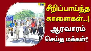 விறுவிறுப்பாக நடந்த எல்லை பந்தயம்..! #BullockCartRace #BullockCart