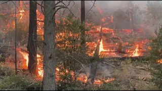 California fires