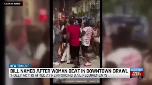 Ohio legislatures introduce ‘Holly’s Bill’, recalling viral summer brawl