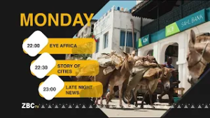 ZBC TV Updates