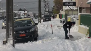 INDEMNIZACIÓN POR CAÍDA EN ESCARCHA