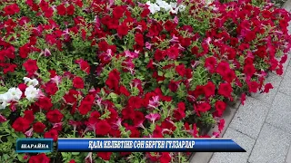 Қала келбетіне сән берген гүлзарлар