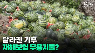 Changing Climate... Is Disaster Insurance Useless? / JIBS / Jeju / 08.07.2026