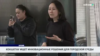 Кокшетау ищет инновационные решения для городской среды