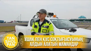 Ұшақ пен құс соқтығысуының алдын алатын мамандар