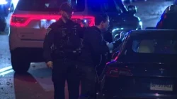 Yale University employee shot in attempted carjacking, police say