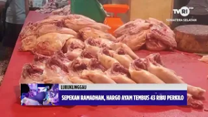 BERITA BASO PLEMBANG - SEPEKAN RAMADHAN, HARGO AYAM TEMBUS 43 RIBU PERKILO