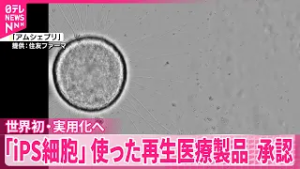 【世界初･実用化へ】「リハート」「アムシェプリ」iPS細胞使った再生医療製品を正式承認
