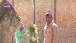 आज विजयादशमी : मान्यजनबाट टीका, जमरा लाइँदै, आशीर्वाद लिइँदै || News Report