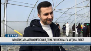 IMPORTANȚA PLANTELOR MEDICINALE, TEMA ZILEI MONDIALE A VIEȚII SĂLBATICE
