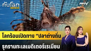 Global Warming Opens the Door for "Invasive Fish" to Take Over the Mediterranean | World Update E...