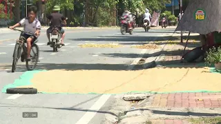 Farmers Drying Rice on Roads Causes Traffic Hazards Again