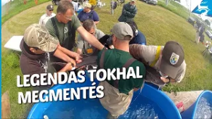 Blue World – 4. évad 5. rész